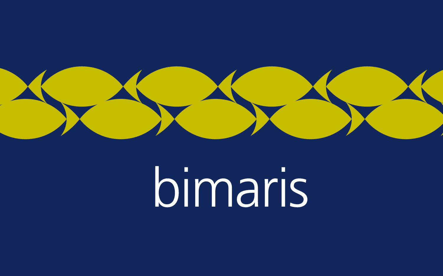 Diseño de la identidad de Bimaris